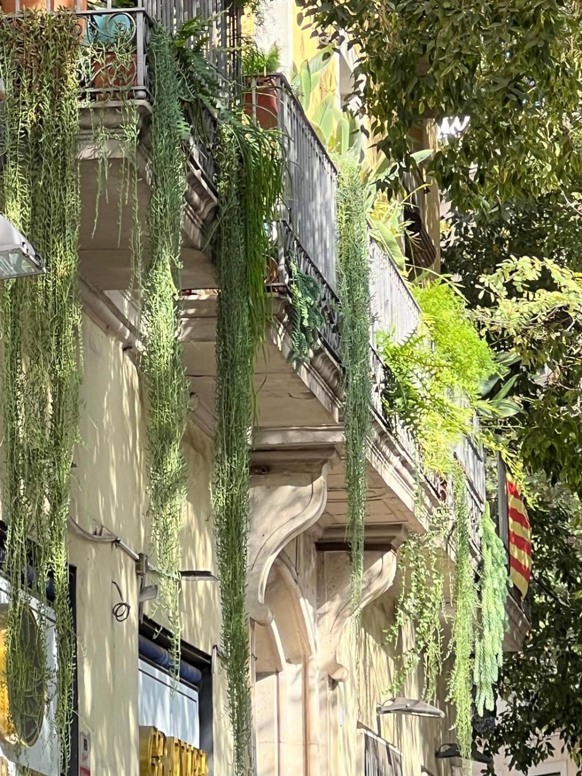 Plaza Goya Rooms Barcelona Exterior foto
